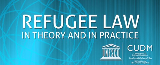 Refugee Law in Theory and in Practice